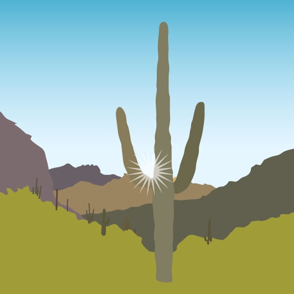 An illustration of a saguaro cactus in a sunny desert.